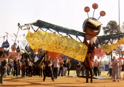 liberation birds carrying the names of the SOA 26